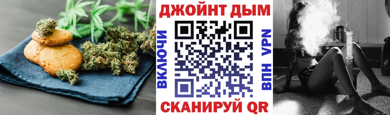 Canna-Cookies конопля  mega ссылки  Новочеркасск 