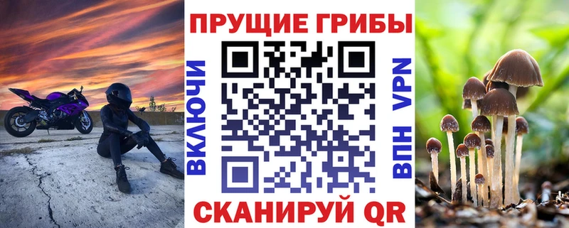Галлюциногенные грибы Magic Shrooms  наркота  ОМГ ОМГ рабочий сайт  Новочеркасск 